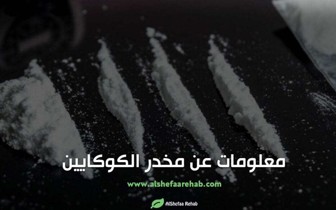 10 معلومات عن مخدر الكوكايين