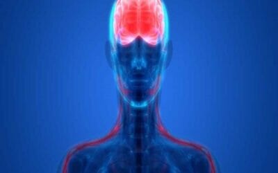 الهيروين وتاثيره على المخ والاعصاب