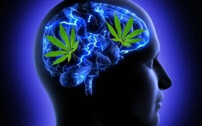 تاثير الماريجوانا على المخ والاعصاب