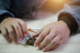 السلوك الظاهري لمدمن الماريجوانا