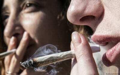 نظرة المجتمع لمدمن الماريجوانا