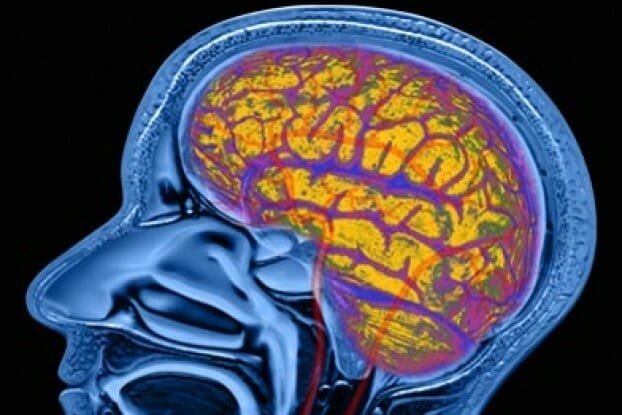 اثير الترامادول على المخ والاعصاب